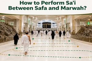 perform sai